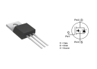 IRLZ44N MOSFET -datablad, krets, motsvarande, pinout