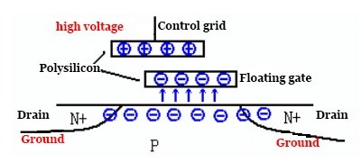EEPROM Floating Gate Erase Operation